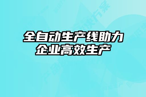 全自动生产线助力企业高效生产