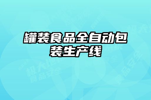 罐装食品全自动包装生产线