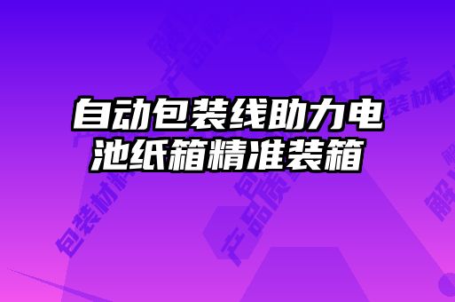 自动包装线助力电池纸箱精准装箱