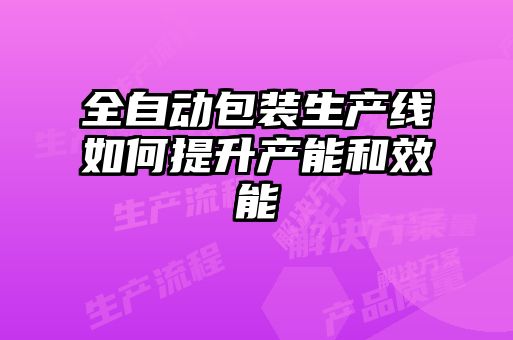 全自动包装生产线如何提升产能和效能