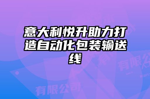 意大利悦升助力打造自动化包装输送线