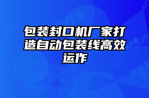 包装封口机厂家打造自动包装线高效运作