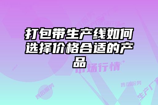 打包带生产线如何选择价格合适的产品