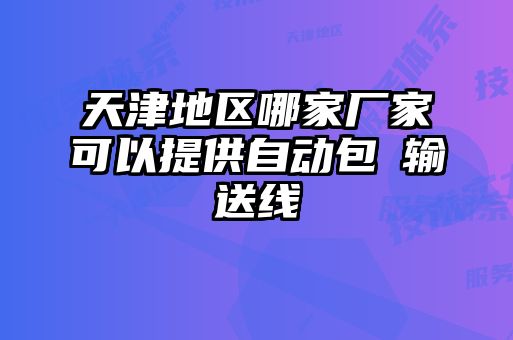 天津地区哪家厂家可以提供自动包裝输送线